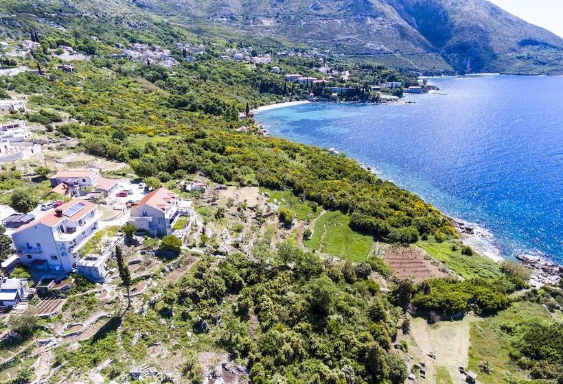 Fotos del hotel Guest House Fontana:  16