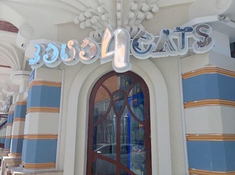 Fotos del hotel Old Town:  6