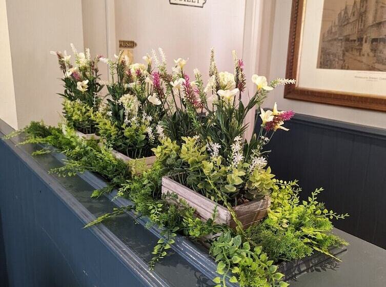 Fotos del hotel The Coach House Inn:  5