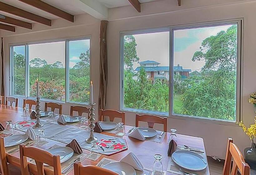 Fotos del hotel Semilla Verde Boutique:  21