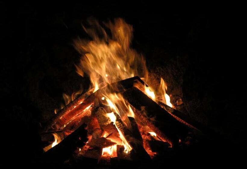 Fotos del hotel Semilla Verde Boutique:  11