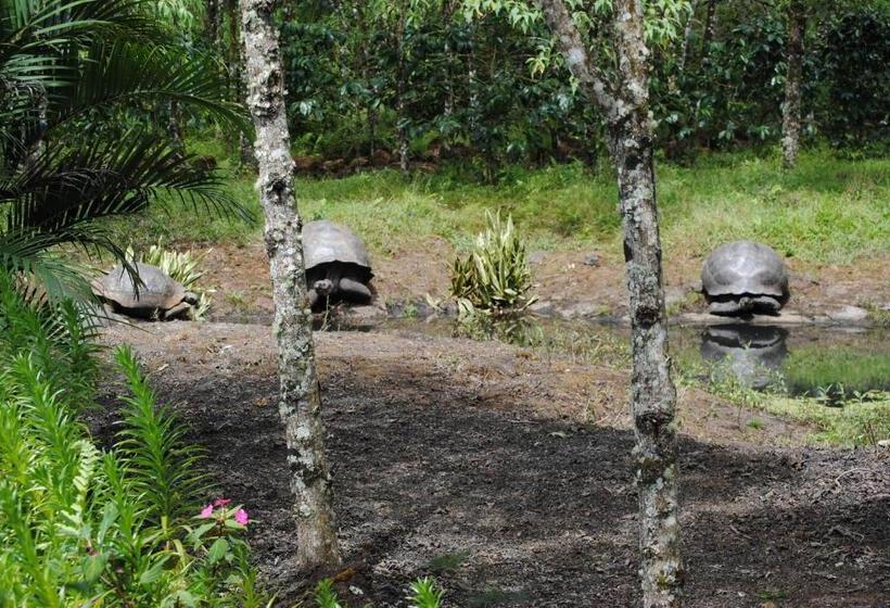 Fotos del hotel Semilla Verde Boutique:  6