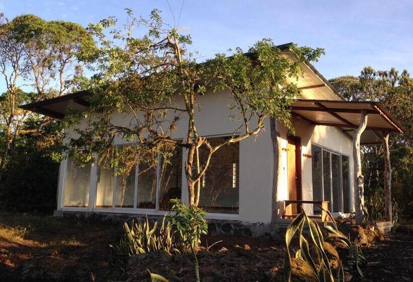 Fotos del hotel Semilla Verde Boutique:  16