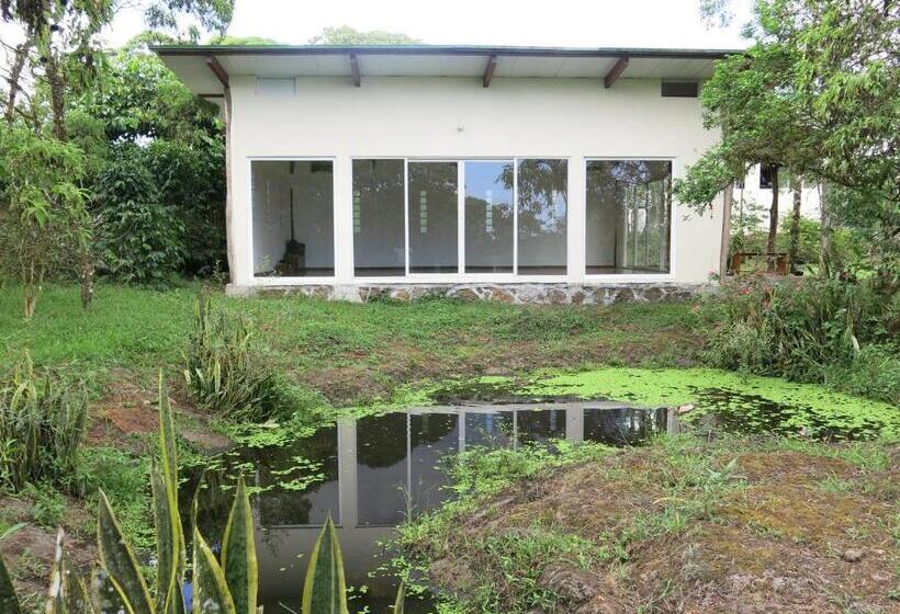 Fotos del hotel Semilla Verde Boutique:  25