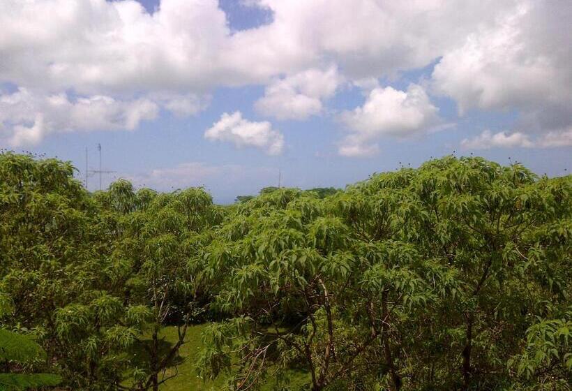 Fotos del hotel Semilla Verde Boutique:  7