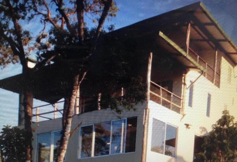 Fotos del hotel Semilla Verde Boutique:  12