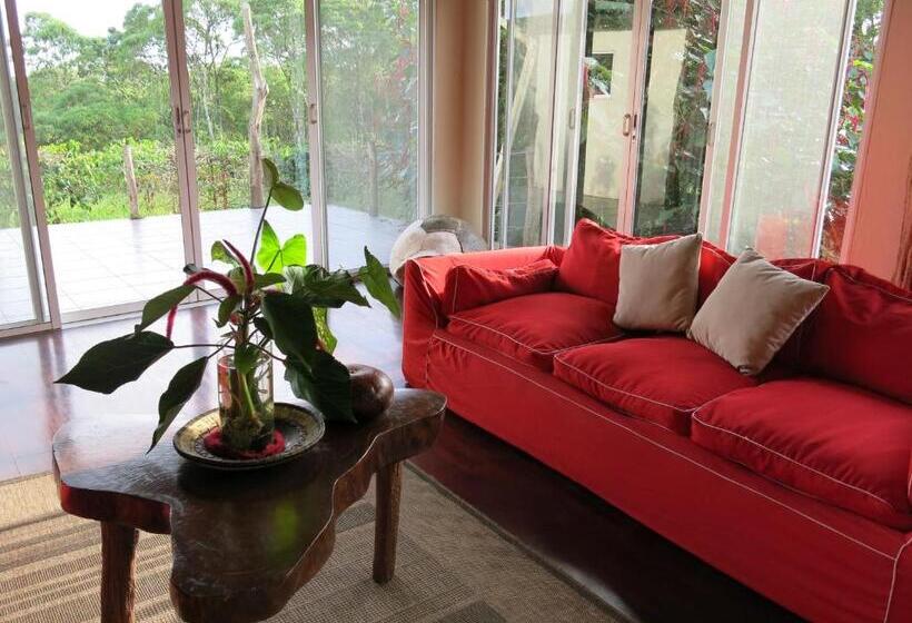 Semilla Verde Boutique