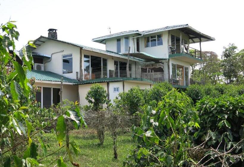 Fotos del hotel Semilla Verde Boutique:  19