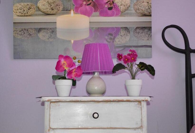 Fotos del hotel Hostel Josef:  10