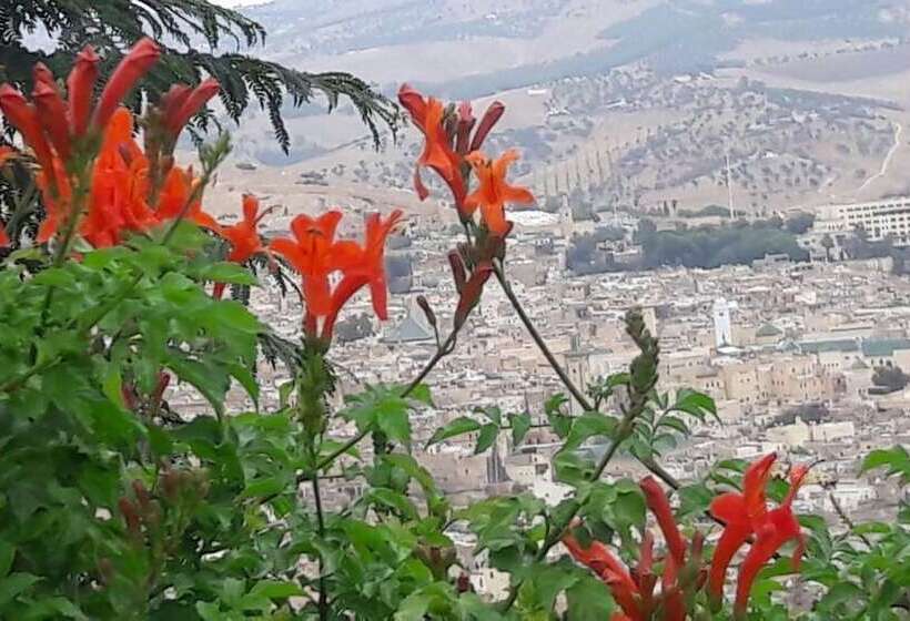 Fotos del hotel Arena Fes:  17