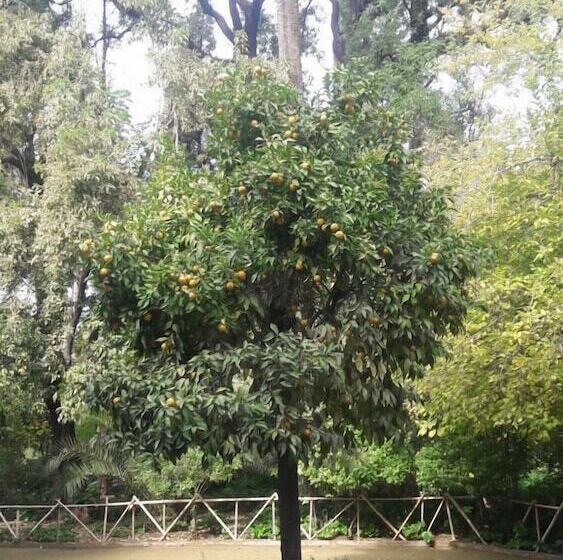 Fotos del hotel Arena Fes:  25