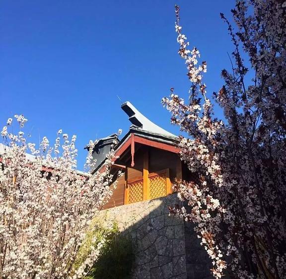 Fotos del hotel Lijiang Jinmao Wutong Boutique:  11