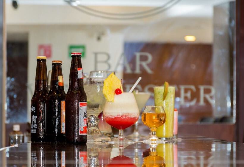 Fotos del hotel Real Plaza Aguascalientes:  6