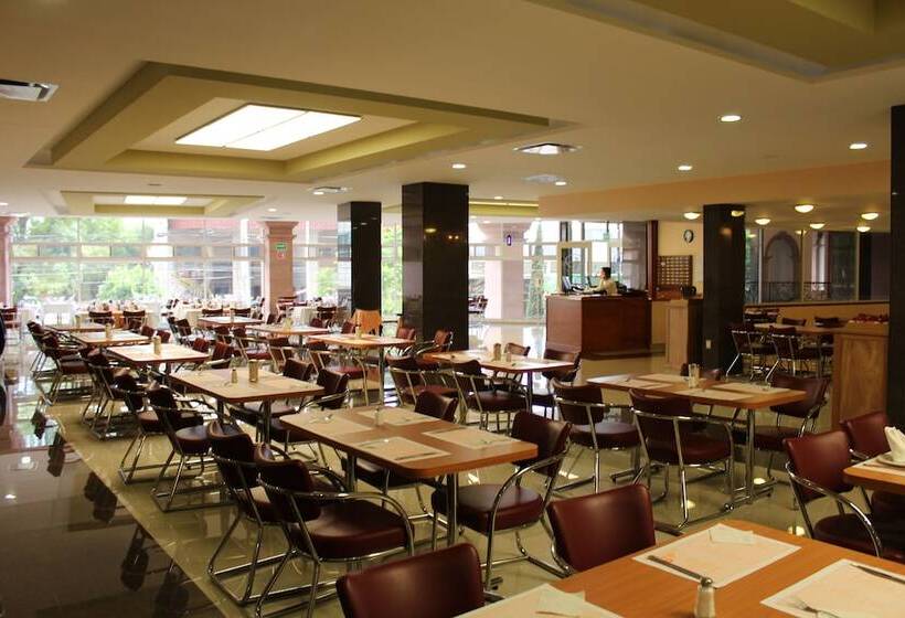 Fotos del hotel Real Plaza Aguascalientes:  13