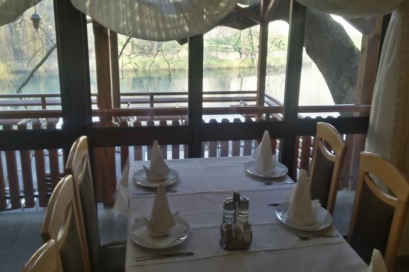 Fotos del hotel Vila Vrbas:  6