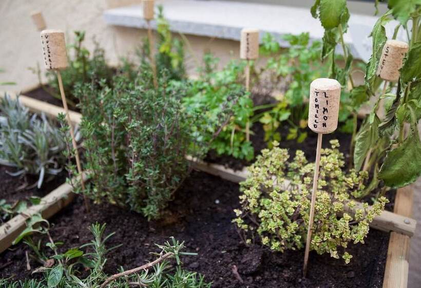 Fotos del hotel El Encanto  & Cafetería:  5