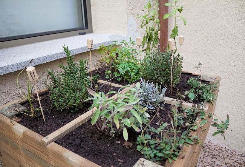 Fotos del hotel El Encanto  & Cafetería:  15