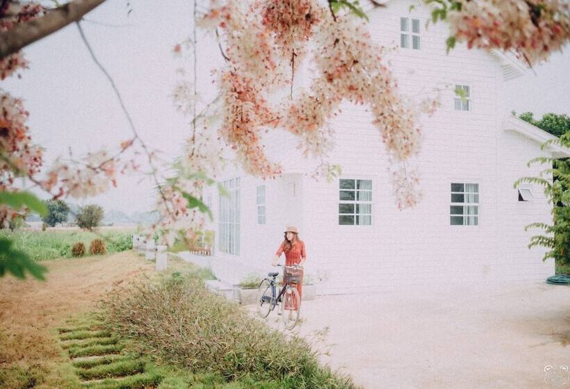 Fotos del hotel Romance Another Story In Pai:  6