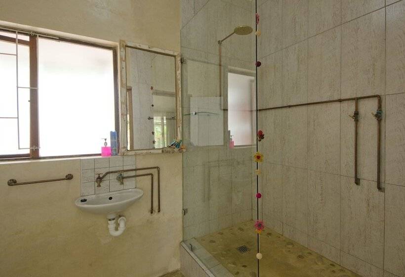 Fotos del hotel Island Vibe Knysna Hostel:  5