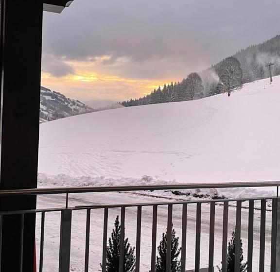 Fotos del hotel Pension Schattberg:  7