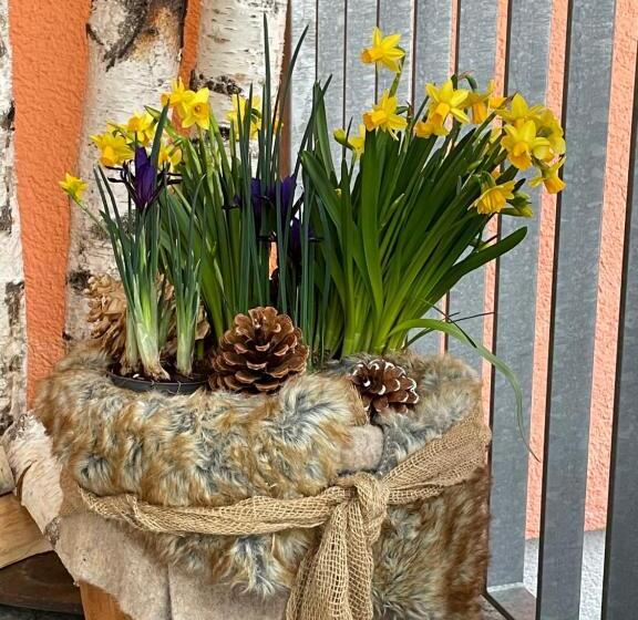 Fotos del hotel Pension Schattberg:  19