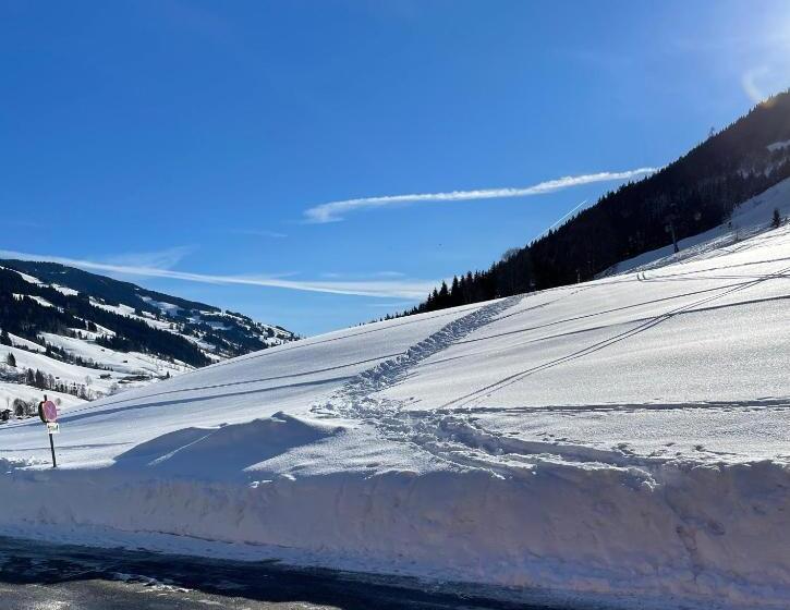 Fotos del hotel Pension Schattberg:  11