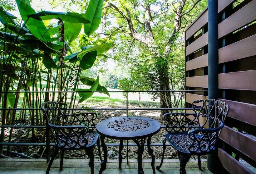 Fotos del hotel Rain Tree Residence:  4