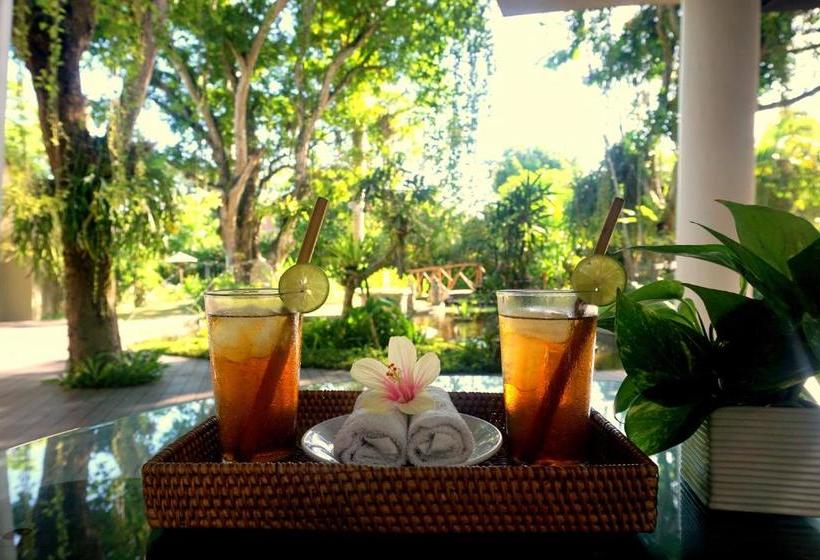 Fotos del hotel Regali Villa:  5