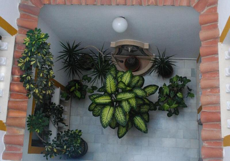 Fotos del hotel Hostal Costa De La Luz:  2