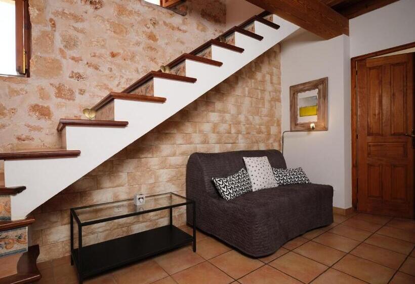 Fotos del hotel S´hort De Can Carrió:  7