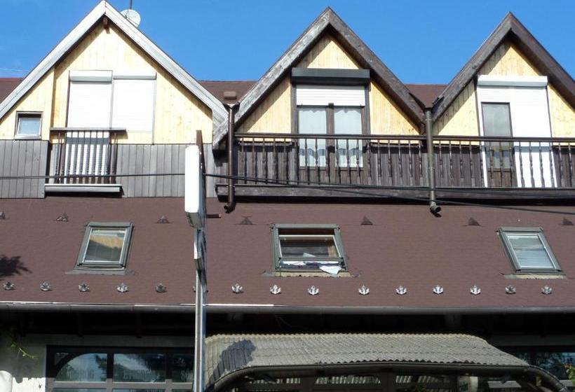 Fotos del hotel Sashalom:  4