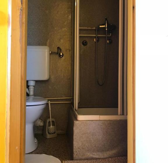 Fotos del hotel Sashalom:  3