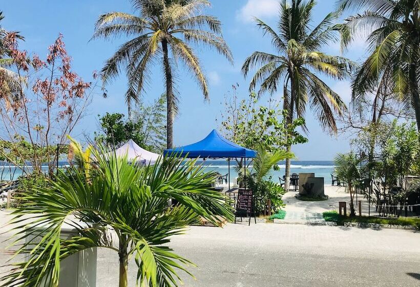 Fotos del hotel Airport Comfort Inn Premium:  16