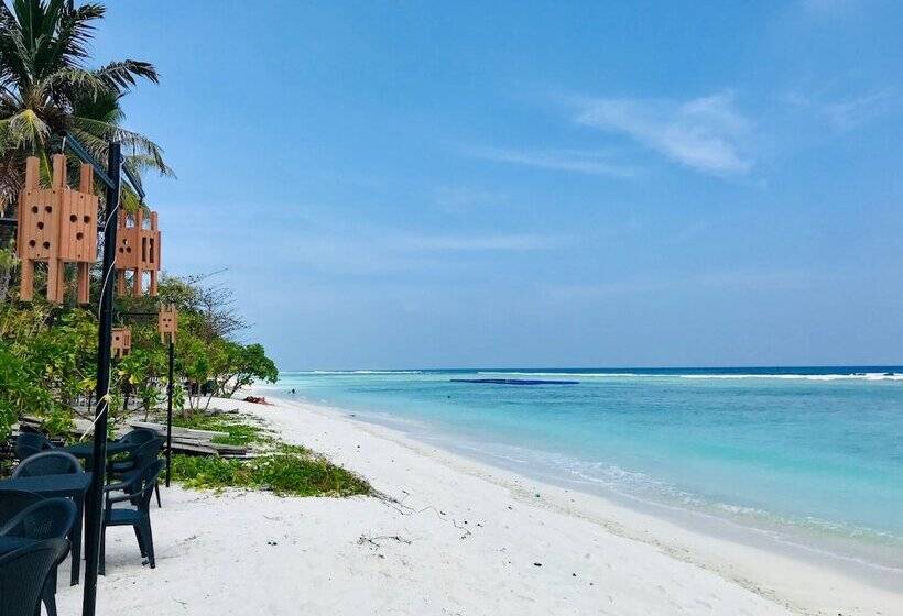 Fotos del hotel Airport Comfort Inn Premium:  11