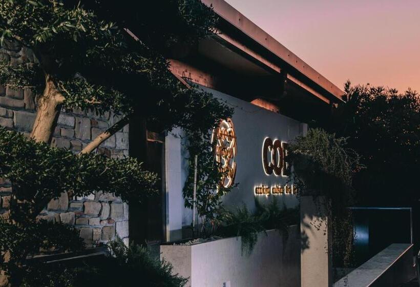 Fotos del hotel Tomi:  12