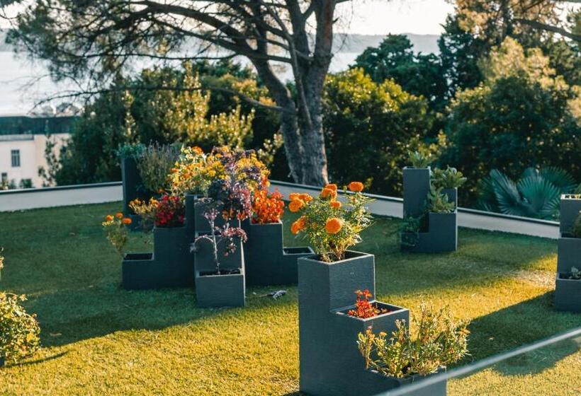 Fotos del hotel Tomi:  10