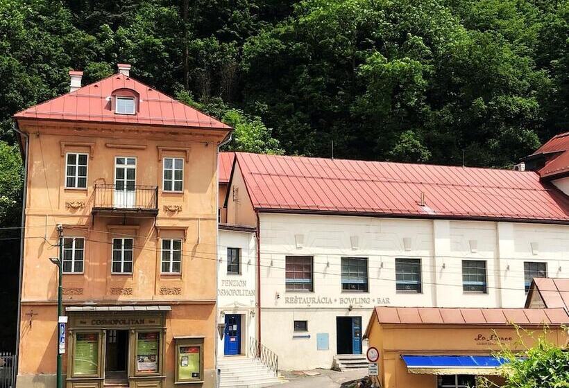 Fotos del hotel Penzión Cosmopolitan I:  13