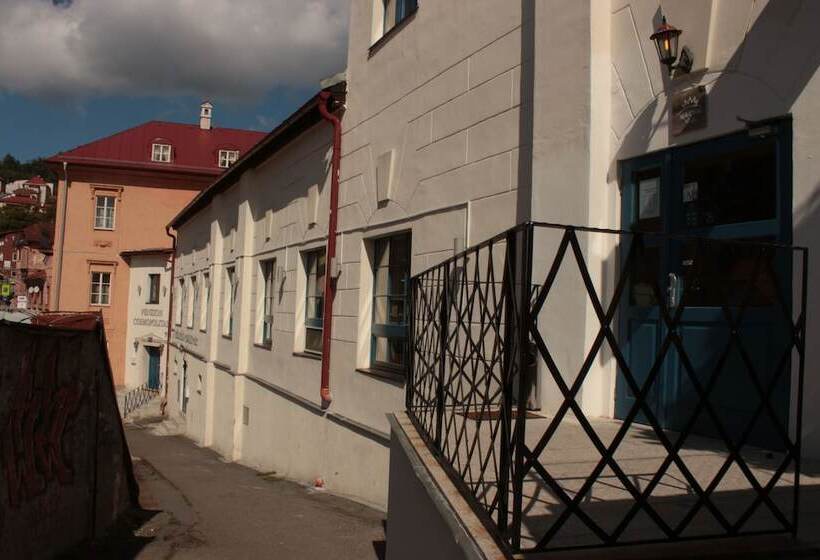 Fotos del hotel Penzión Cosmopolitan I:  5