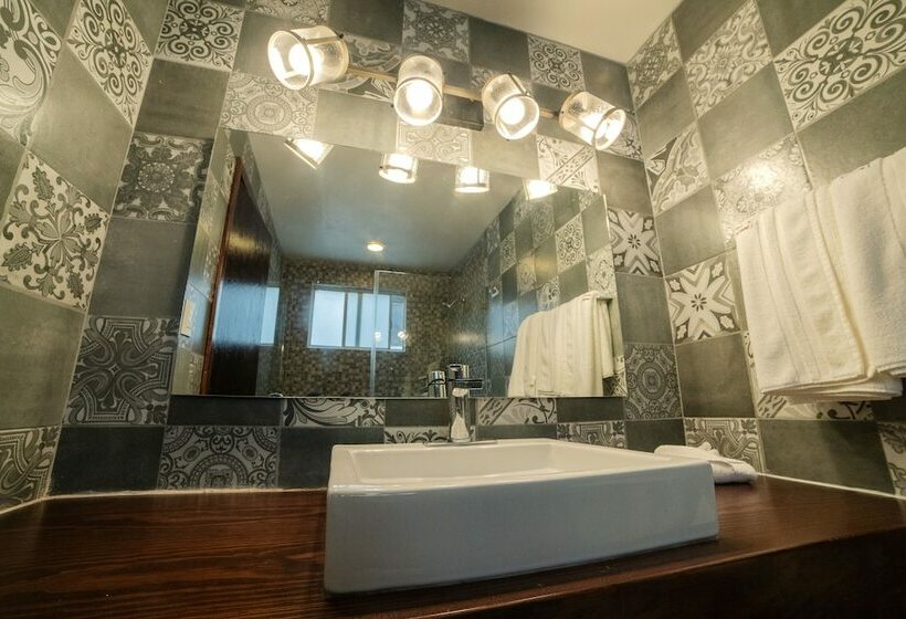 Fotos del hotel Embajadoras:  5