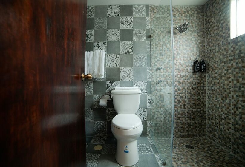 Fotos del hotel Embajadoras:  10