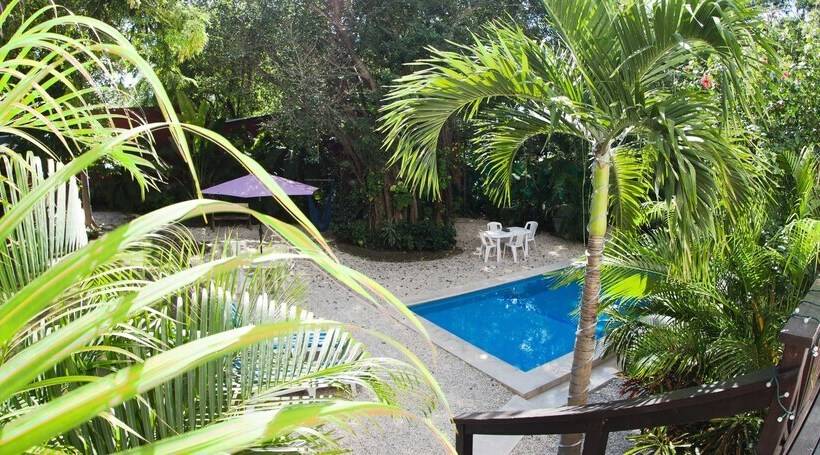 Fotos del hotel Mango Tulum:  16