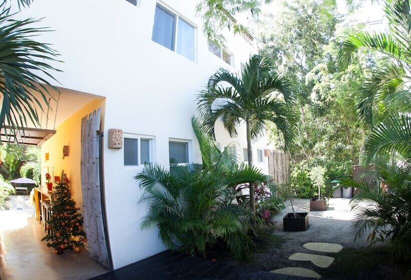 Fotos del hotel Mango Tulum:  11