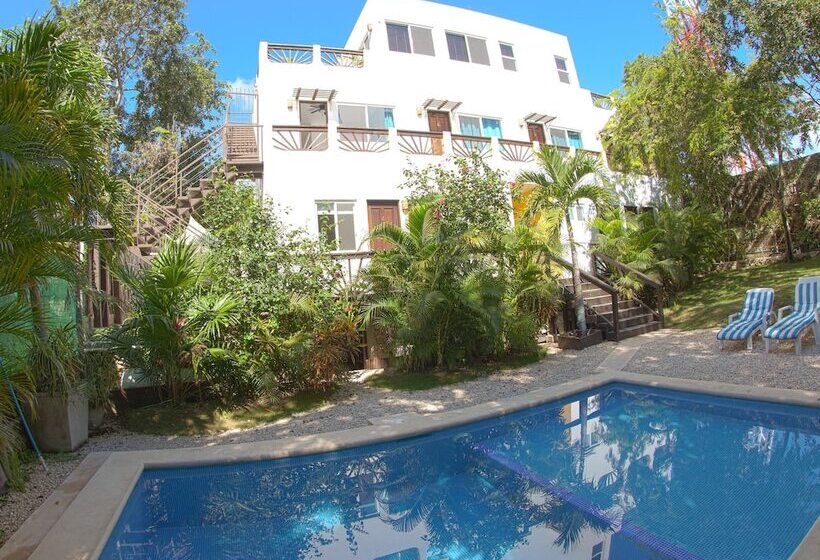 Fotos del hotel Mango Tulum:  23