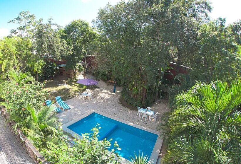 Fotos del hotel Mango Tulum:  21