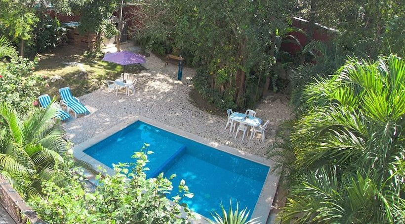 Fotos del hotel Mango Tulum:  12