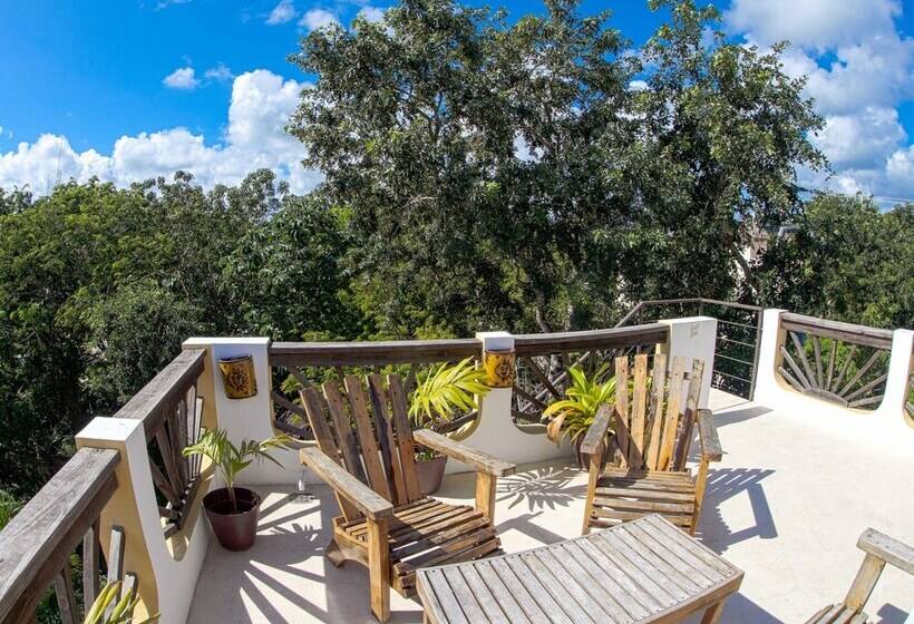 Fotos del hotel Mango Tulum:  10