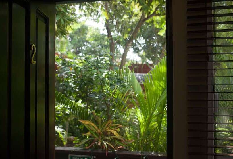 Fotos del hotel Mango Tulum:  7