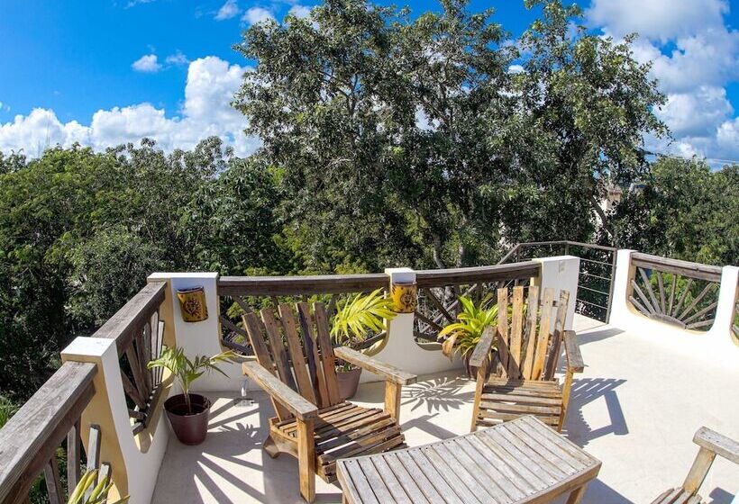 Fotos del hotel Mango Tulum:  15