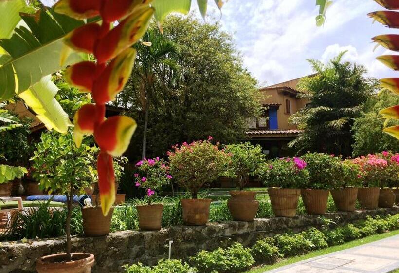 Fotos del hotel Orchidelirium Casa Hotel & Salud Estética:  10