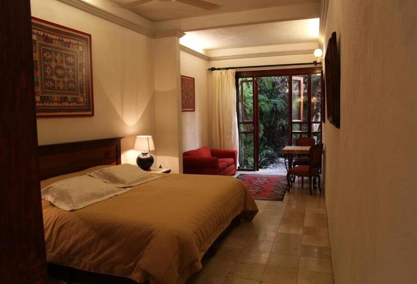 Fotos del hotel Orchidelirium Casa Hotel & Salud Estética:  11